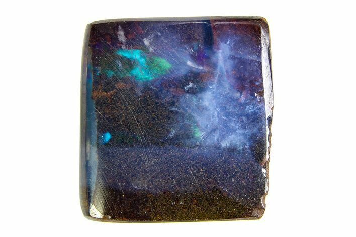 Flashy Polished Boulder Opal Specimen - Queensland, Australia #351876